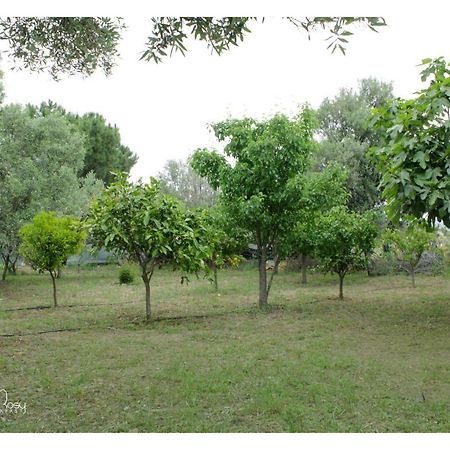 Villa Il Giardino Di Rosy à Su Forti Extérieur photo