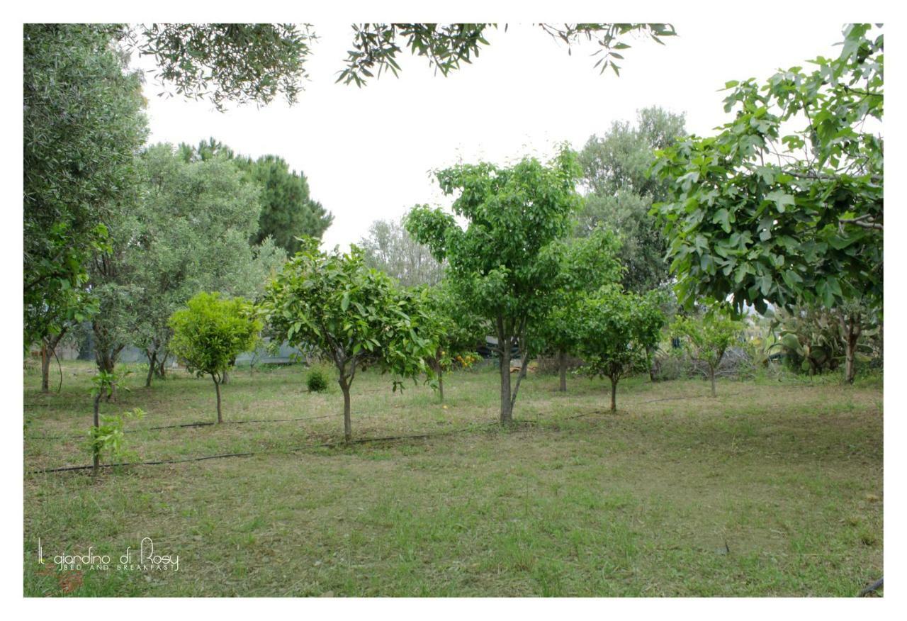 Villa Il Giardino Di Rosy à Su Forti Extérieur photo